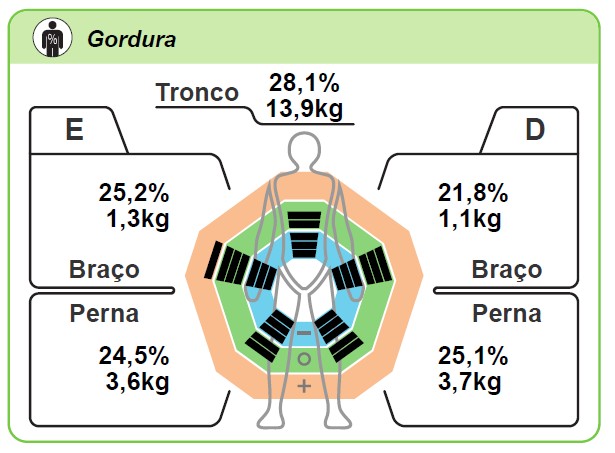 Distribuição de gordura por segmento — tronco, braços e pernas